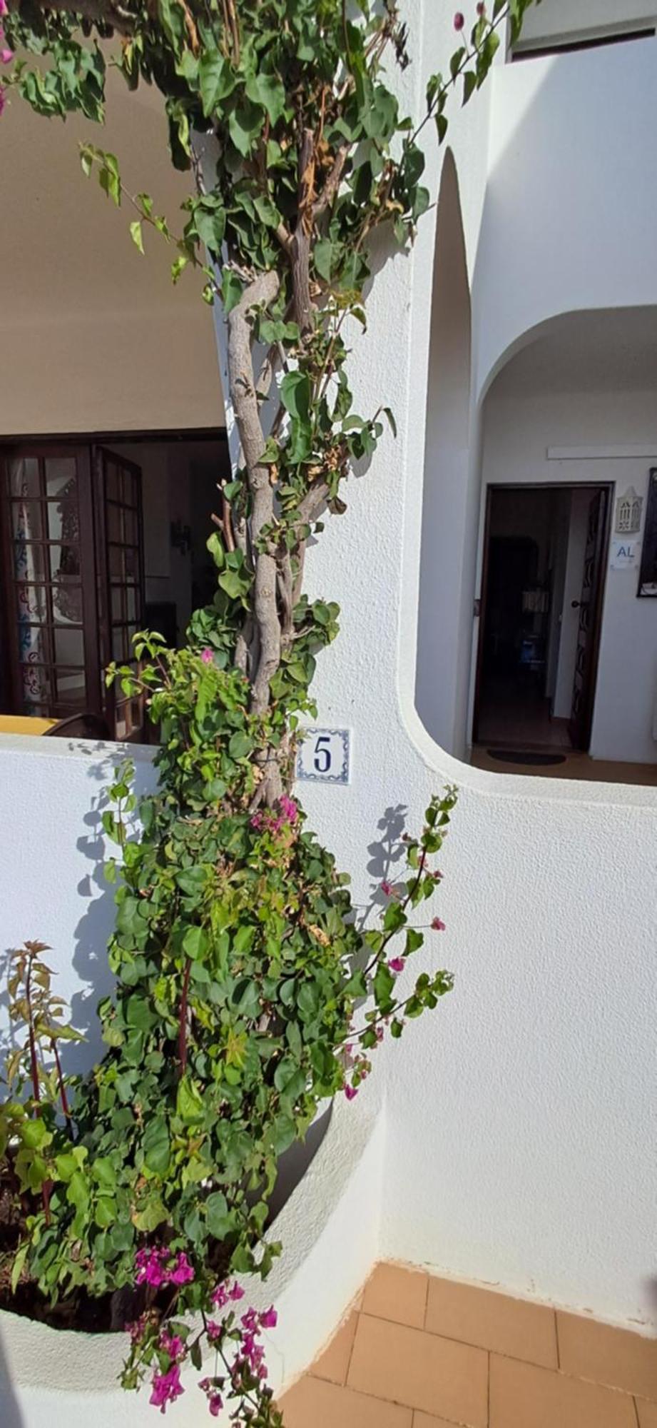 Apartamento Neptuno Benagil Exterior foto